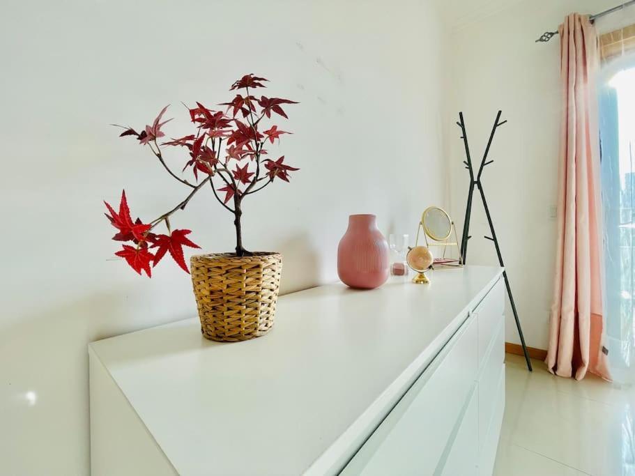 Peradoce - Beach 150M - Terrace - Private Parking Apartment Armacao de Pera Exterior photo